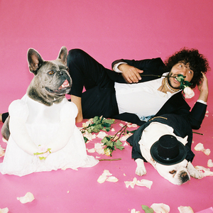 张婉莹手笔紫薇免费全集
