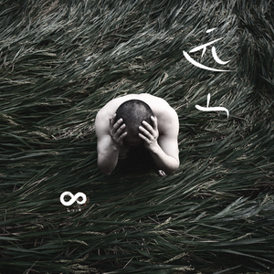 张婉莹手笔紫薇免费全集
