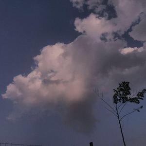 张婉莹手笔紫薇免费全集
