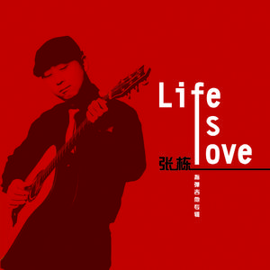 张婉莹手笔紫薇免费全集
