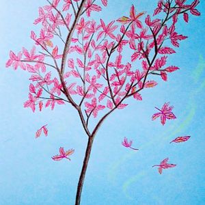 张婉莹手笔紫薇免费全集
