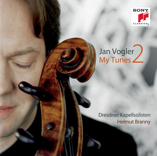 张婉莹手笔紫薇免费全集
